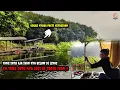 Download Lagu Spot yang pojok Ikan nya Banyak dan Besar besar Babon nya pun Siang Malam || Mancing Cirata Terbaru