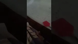 ١٥ يونيو ٢٠٢٤ 