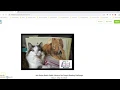 How to Sign-Up for Beanstack