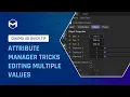 221 Attribute Manager Tricks - Editing Multiple Values in Cinema 4D