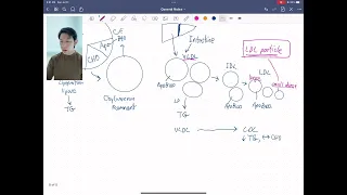 ทำไมการตรวจค่าคอเลสเตอรอลโดยรวมจึงไม่สามารถบอกความเสี่ยงโรคหัวใจได้อย่างแม่นยำ