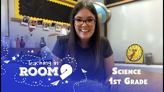 Animal and Plant Families 1st Grade Science Teaching In Room 9