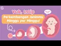 Download Lagu Perkembangan Janin Minggu per Minggu