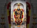 Download Lagu Govinda Govinda tirupati Balaji 🙏🏻🌷#tirupatibalaji#venkateswaraswamy#devotionalsongs#venkateswara