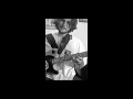 Chad LB (🎷) on "Just Friends", Chad Lefkowitz-Brown, Jazz Guitar [Guitar Cover] 🎧 TRANSCRIPTION #6