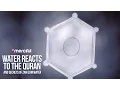 Water Reacts to the Quran \u0026 Secrets of ZamZam
