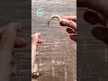 Sloth Claws are Fabulous but are they Dangerous