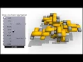 Grasshopper Wasp Stochastic aggregation