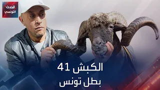 الكبش 41 بطل تونس 