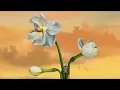 Porter Robinson - Look at the Sky (VISUAL REMAKE)