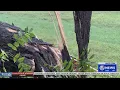 Critical warning came minutes before EF-1 tornado touched down in Hancock County