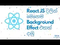 Background confetti effect using React JS react-confetti Sinhala