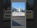 Lagu OMG 😁Burung Camar Ngamuk!😳Mau ketawa ngakak takut dosa tahan tawa hewan lucu funny animal video