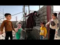 Download Lagu Tayyiba's effort to complete the farm in a short time. Living and fighting side by side