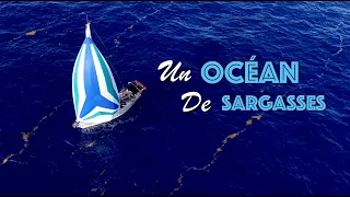 4600 milles plus loin, nous arrivons en Martinique 🌴
