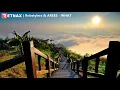 Download Lagu Rnbstylerz \u0026 AREES - WHAT