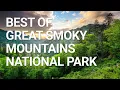 Top Things You NEED To Do In Great Smoky Mountains National Park
