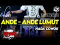 Download Lagu ANDE - ANDE LUMUT KARAOKE NADA COWOK / PRIA VERSI KOPLO FARIS KENDANG