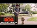 Download Lagu Think Like A Dog (2020 Movie) Official Trailer - Josh Duhamel, Megan Fox