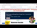 Store Process and Manage Data on Google Cloud - Command Line Challenge Lab