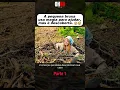 Download Lagu Uma pequena bruxa usa magia para ajudar, mas é descoberta.😲😲
