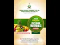 Yoruba Catholic Community UK 2024 HARVEST DIVINE FRUITFULNESS