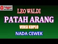 Download Lagu KARAOKE VERSI KOPLO PATAH ARANG - LEO WALDY (COVER) NADA CEWEK