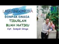 Download Lagu DOMPAK SINAGA - TIDURLAH BUAH HATIKU (Official Audio)