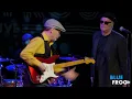 Download Lagu Only the BEST BLUES! #curtissalgado