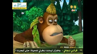 الزعيم الحقيقي بندق وبرعم 