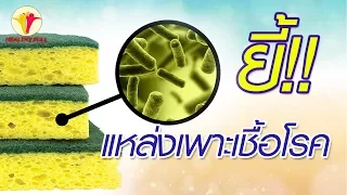 แปรงสีฟันสามารถสะสมเชื้อโรคอะไรบ้าง และทำไมจึงเป็นอันตรายต่อสุขภาพ