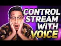Control OBS using Your VOICE VoiceAttack NOOBS CMDR