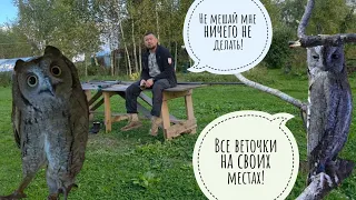 Пока берёзы шатают воздух, делая ветер, я разбираю комнату сыча Лучика и готовлюсь зимовать