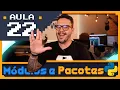 Curso Python - Modulos e Pacotes