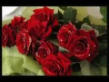 Download Lagu Bijelo Dugme - Ružica si bila