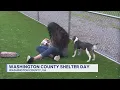 Washington County Virginia Animal Shelter hosts Shelter Day