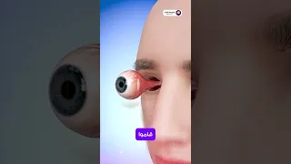                          دندنها