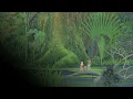 Secret of Mana (2018) - Danger (Alternate)
