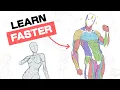 You MUST Avoid These Art Anatomy Mistakes