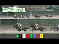Baby Vino Shocks the 2026 Haskell at 28 to 1 Full race