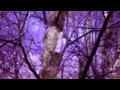 TENSNAKE - CONGOLAL