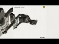 Seyi Vibez - SHAOLIN(Official Audio)