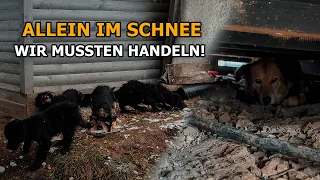 Allein in der Kälte – doch wir kamen nicht zu spät