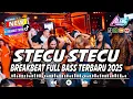 Download Lagu DJ BREAKBEAT STECU STECU VIRAL TIKTOK FULL BASS BIKIN GOYANG