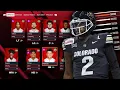 I Maxed Out The XP Sliders and Simmed 10 Seasons to See What The NFL Would Look Like Madden 25