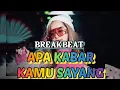 Download Lagu DJ BREAKBEAT Apa Kabar Kamu Sayang