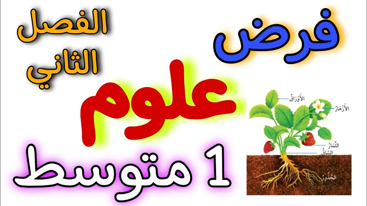 فرض في مادة العلوم أولى متوسط الفصل الثاني
