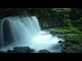 Leonid Kogan - Schubert - Fantasie in C major, D 934