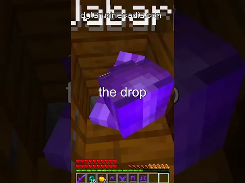 INVIS Raiding a SECRET Minecraft Base