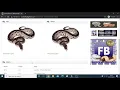 How to use the Genetic Calculator to help with you Ball Python Projects
